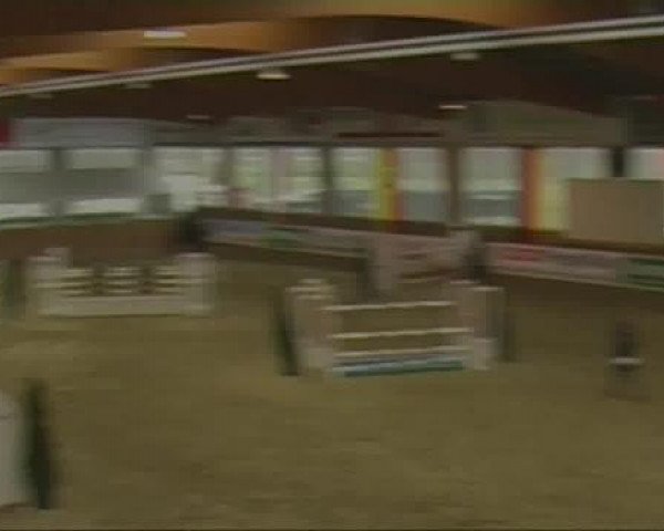 Rosendorf-Classics 2013