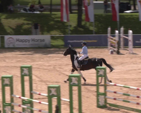 Reitturnier Stadl-Paura 2024