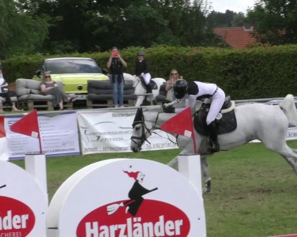 Reitturnier Moringen 2024