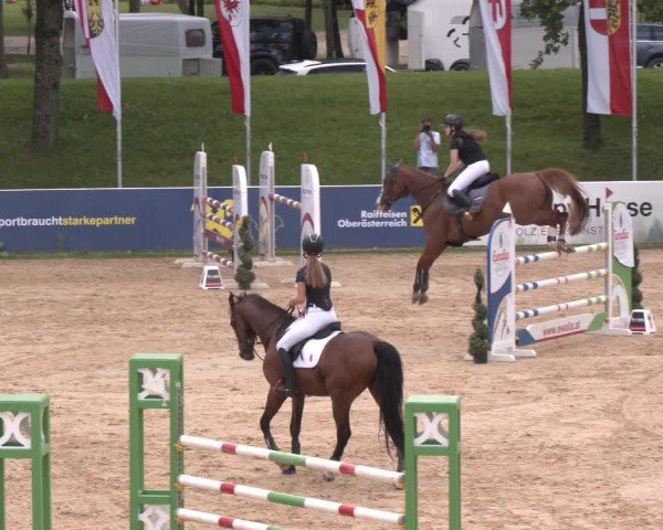 Reitturnier Stadl-Paura 2024