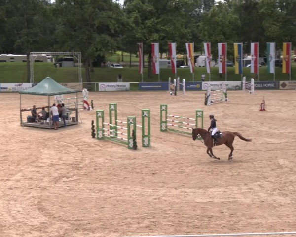 Reitturnier Stadl-Paura 2024