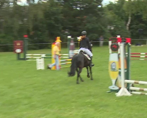 Reitturnier Hof-Haidt/Ofr. 2024