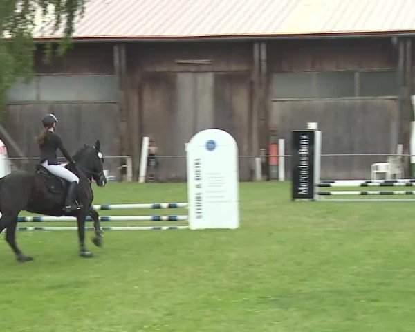 Reitturnier Hof-Haidt/Ofr. 2024