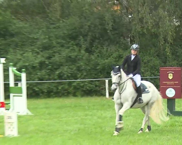 Reitturnier Hof-Haidt/Ofr. 2024