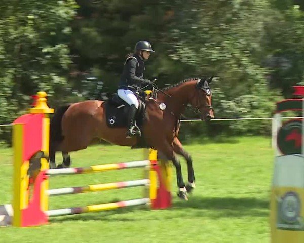 Reitturnier Hof-Haidt/Ofr. 2024