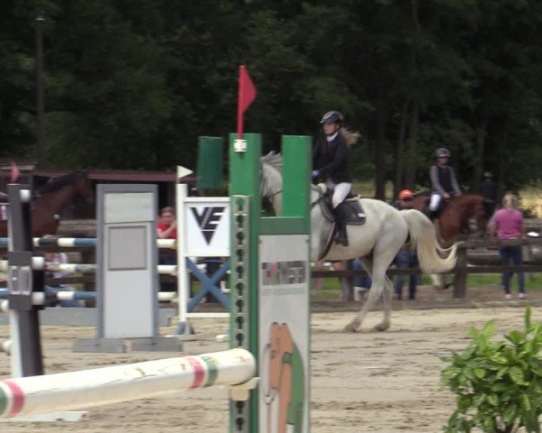 Reitturnier Hemer-Oese an der Edelburg 2024