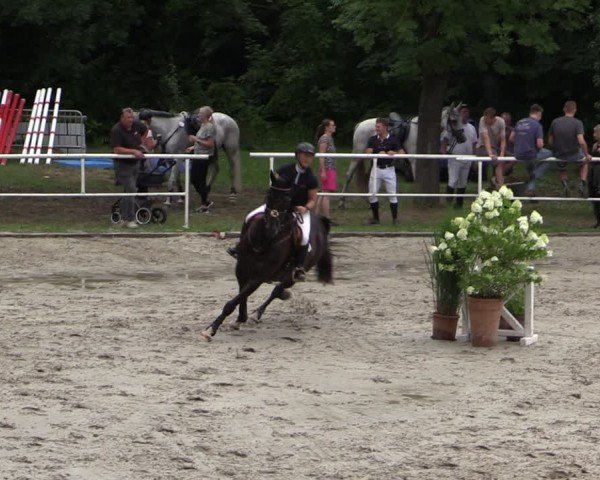 Reitturnier Prussendorf 2024