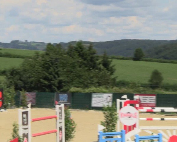 Reitturnier Lindlar-Süttenbach 2024