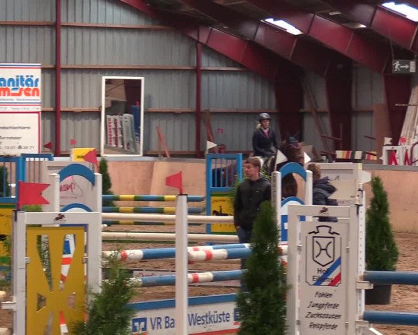 Reitturnier Behrendorf 2021