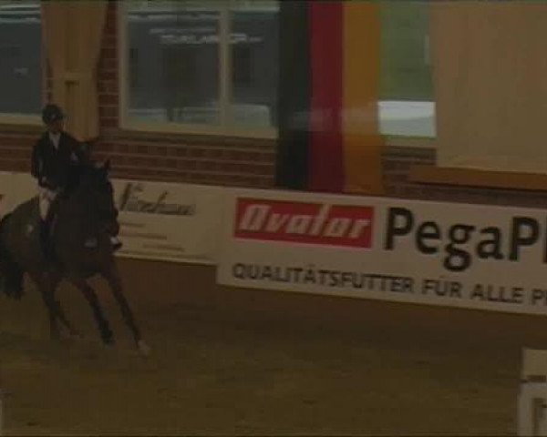 Rosendorf-Classics 2013
