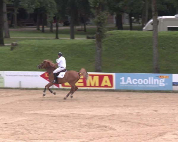 Reitturnier Stadl-Paura 2024
