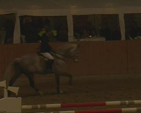 Rosendorf-Classics 2013