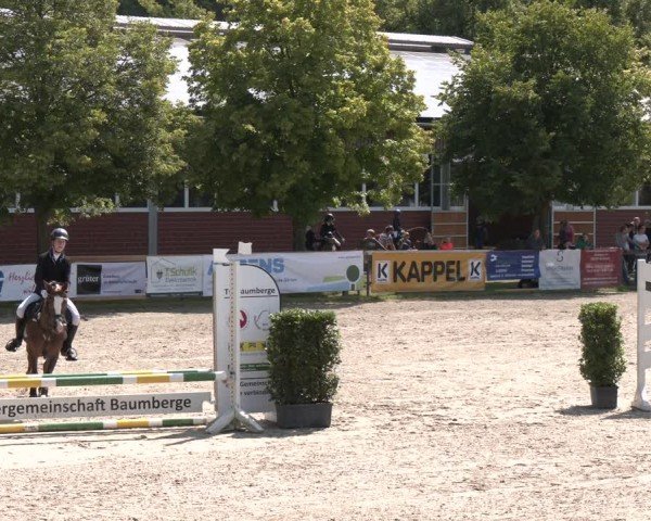 Reitturnier Münster-Roxel 2024