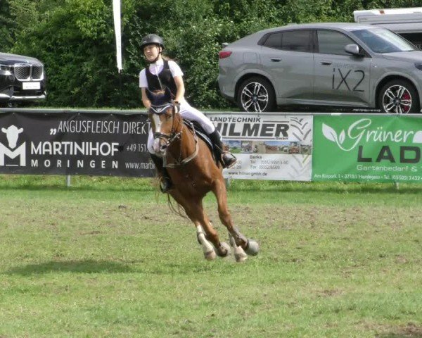 Reitturnier Moringen 2024