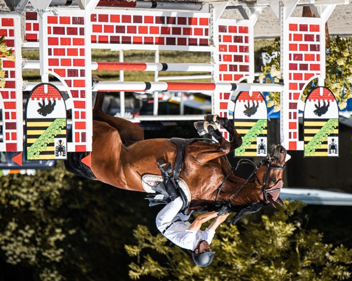 Springpferd Thriller vd Leuba (Oldenburger Springpferd, 2018, von Thunder van de Zuuthoeve)