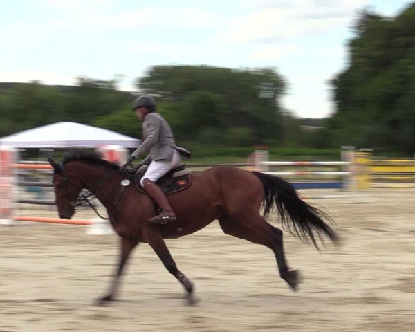 Reitturnier Hemer-Oese an der Edelburg 2024