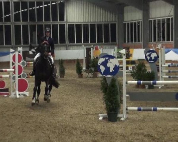 Grevener-Hallenspringturnier 2013