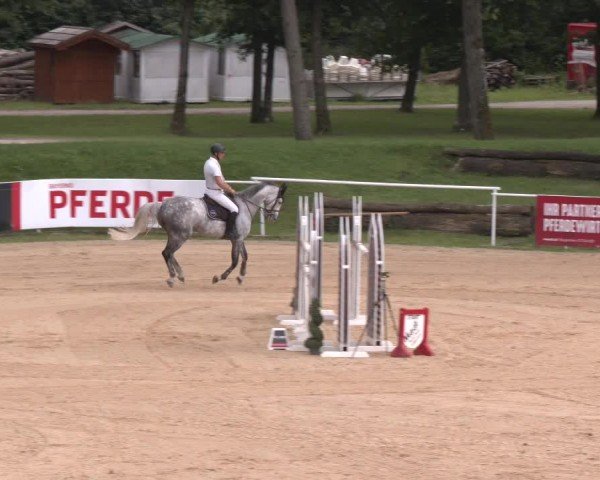 Reitturnier Stadl-Paura 2024