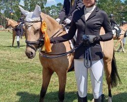 dressage horse Ravello (Kleines Deutsches Pony, 2020, from Roy)
