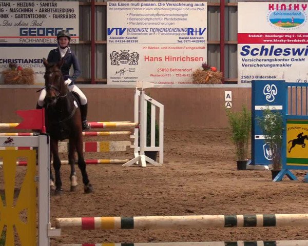 Reitturnier Behrendorf 2021