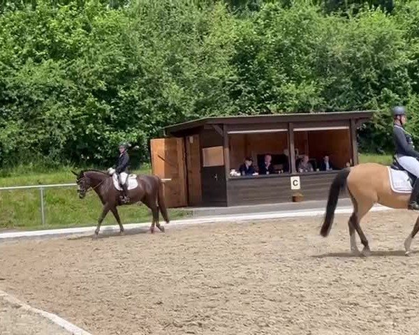 Video of Peyman