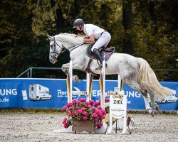 jumper Disalita (Hanoverian, 2019, from Diacontinus)