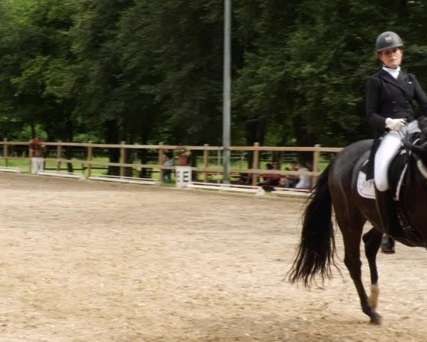 Reitturnier Nürtingen 2024