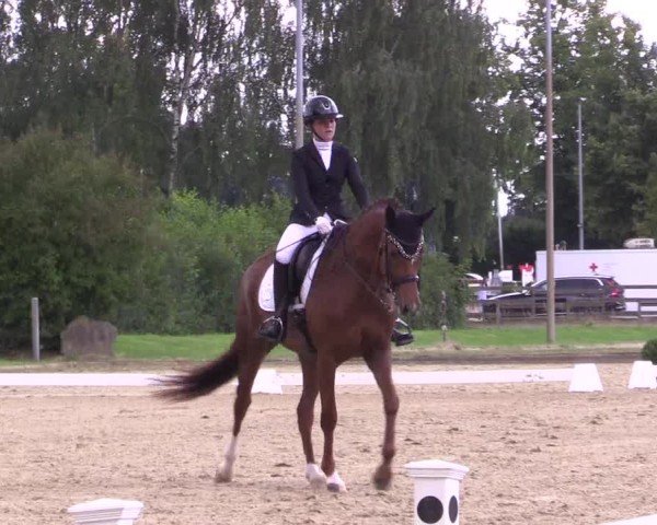 Reitturnier Münster-Roxel 2024