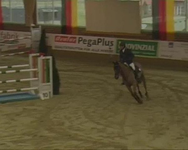 Rosendorf-Classics 2013