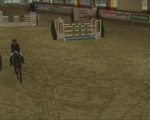 Rosendorf-Classics 2013