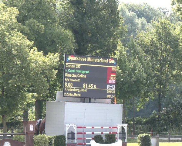 Reitturnier Münster-Roxel 2024