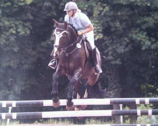 broodmare Eskada 10 (Zweibrücken, 1999, from Elan d' Espoir)