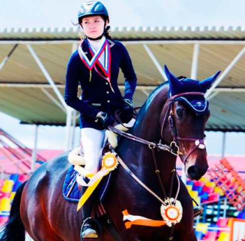jumper Lanton Z (Zangersheide riding horse, 2006, from Landlord)