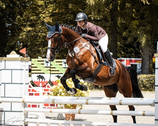 jumper Catch me Betty (Holsteiner, 2019, from Catch)