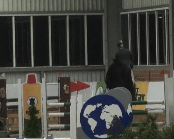 Grevener-Hallenspringturnier 2013