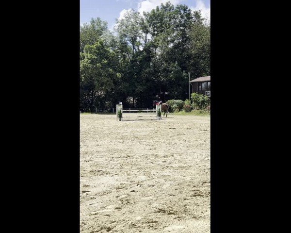 Video of Basalino FS