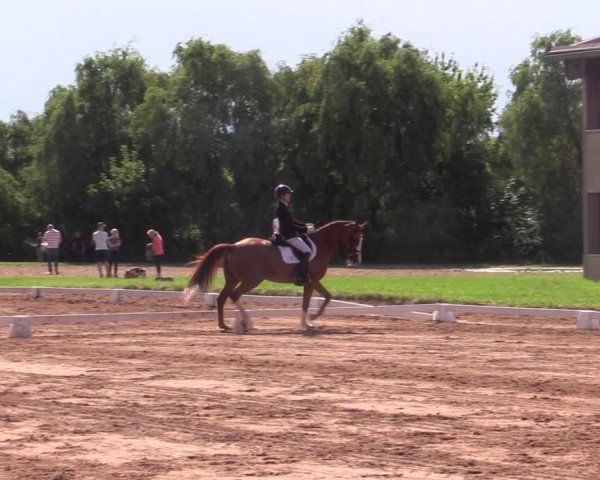 Reitturnier Prussendorf 2024