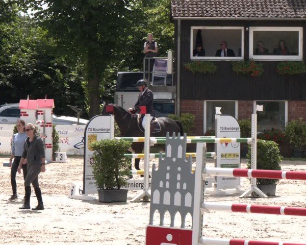 Reitturnier Münster-Roxel 2024