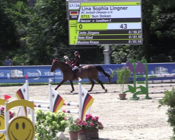 Reitturnier Prussendorf 2024