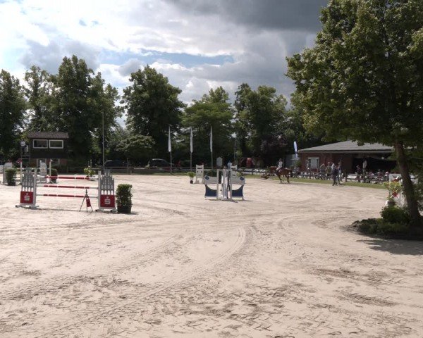 Reitturnier Münster-Roxel 2024
