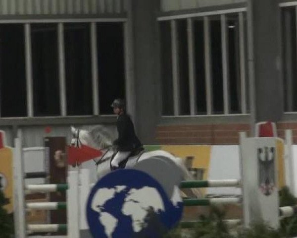 Grevener-Hallenspringturnier 2013