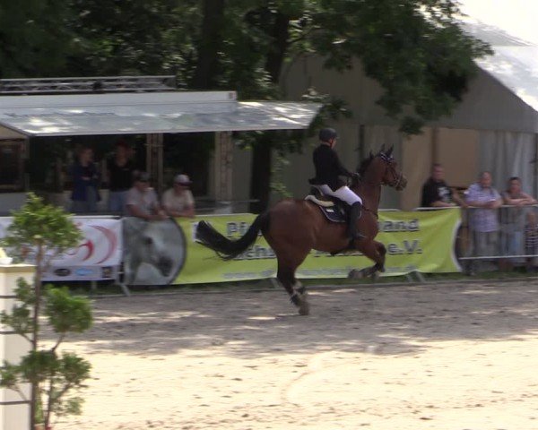 Reitturnier Prussendorf 2024