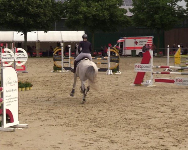 Reitturnier Grefrath - Reitanlage Heitzerend 2024