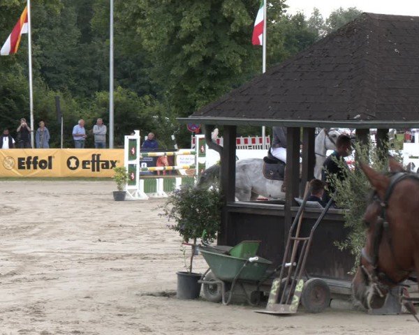 Reitturnier Münster-Roxel 2024