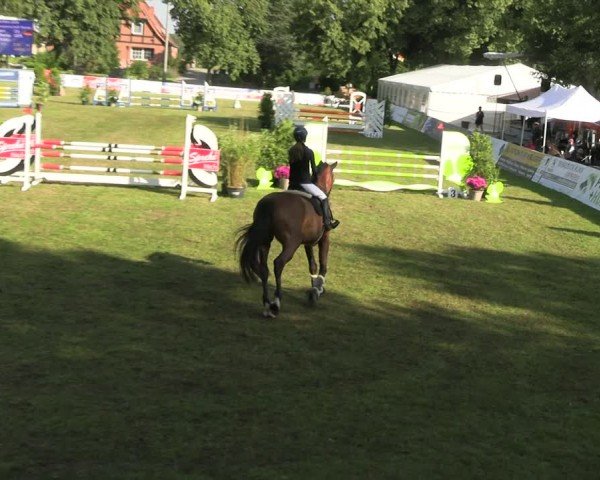 Reitturnier Neu Benthen 2024