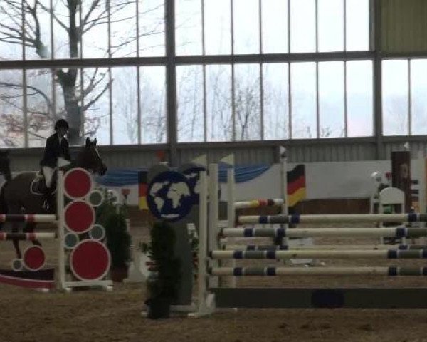 Grevener-Hallenspringturnier 2013