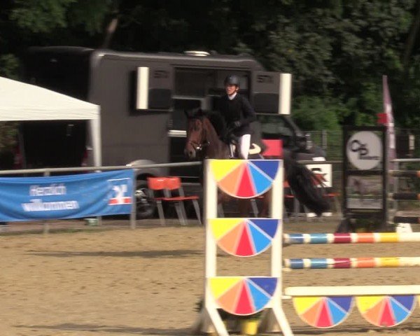 Reitturnier Grefrath - Reitanlage Heitzerend 2024
