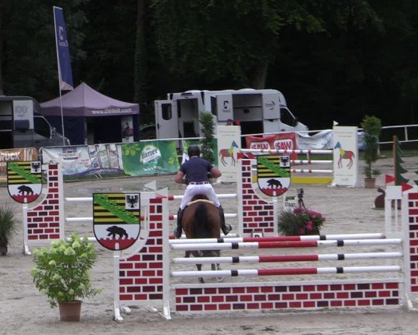 Reitturnier Prussendorf 2024