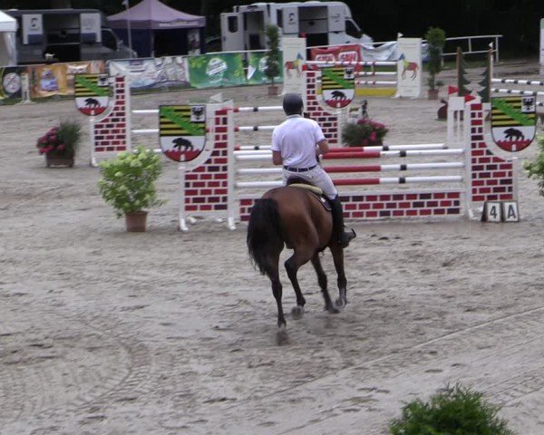 Reitturnier Prussendorf 2024