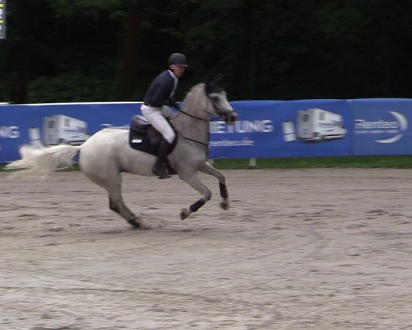 Reitturnier Prussendorf 2024